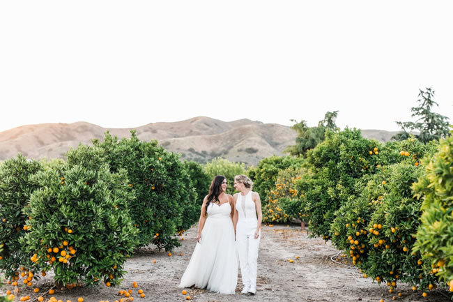 Two brides in wedding dresses hold hands among orange trees