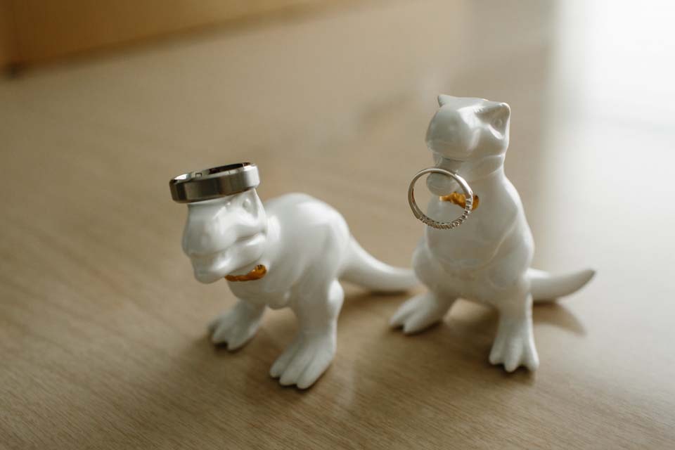 Tips for Wedding Budget | Wedding rings resting on cute porcelain dinosaur ring holders